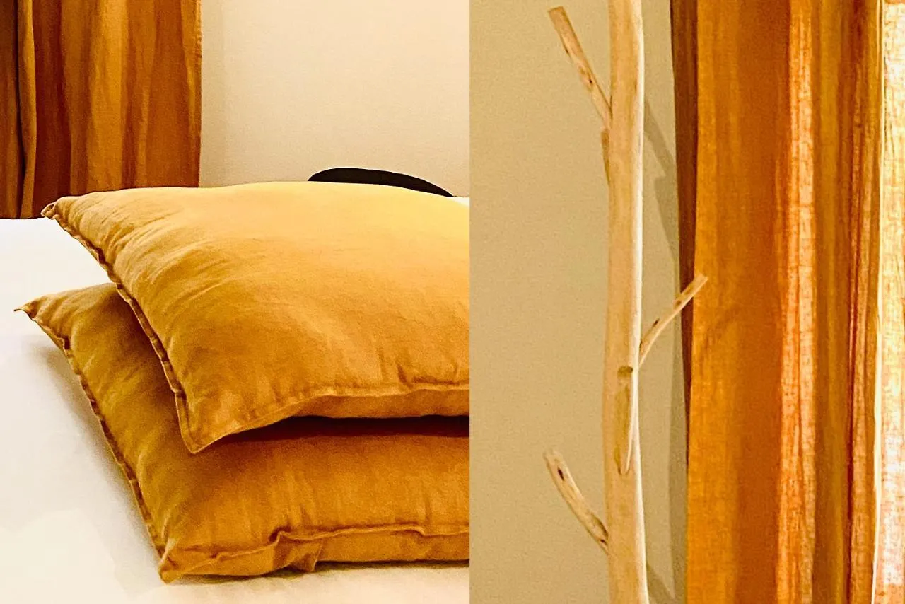 Bed & Breakfast Superbe Grande Maison - Amis - Familles - Entreprises Toulouse